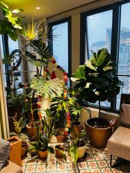 -优刻西服西装定制(金轮国际广场店)