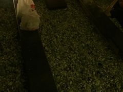 -纽斯洗浴SPA(三墩店)