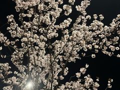 -维多利亚火车站