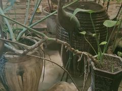 -苏沐堂全息足浴·SPA·按摩(万科美好广场店)