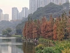 -重庆彩云湖湿地公园