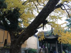 -无锡惠山寺