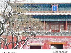 -故宫博物院(故宫)