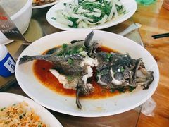 清蒸石斑鱼-明记海鲜大排档(巽寮湾店)