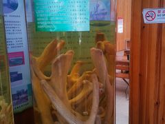 -北京鹿世界主题园