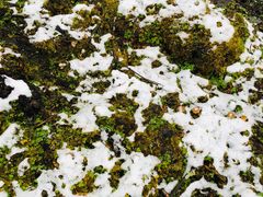 -硗碛藏寨·神木垒景区