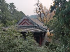 -香山公园