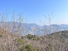 -攀枝花公园