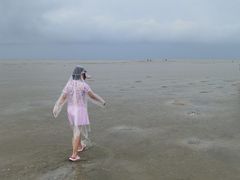 -红树林天天赶海