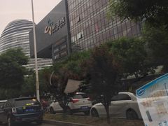 -新荟城(望京店)