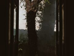 -乌镇东栅景区