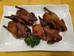 红烧乳鸽-粤·向群饭店(泮塘路店)