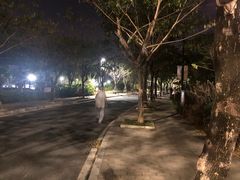 -金鸡岭桥头公园