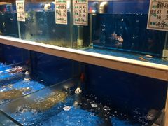 水产区-姜君·千岛湖鱼头馆(浦东大道店)