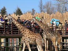 -济南野生动物世界