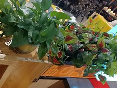 -四季喧黔味豆米火锅(万达广场店)
