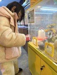 -神奇动物撸宠馆·羊驼·小浣熊·异宠(豫园店)
