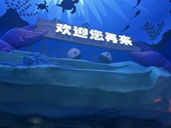 -石家庄海洋公园