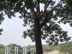 -东莞植物园