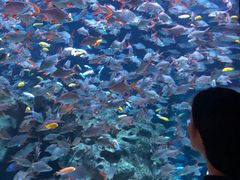 -成都浩海立方海洋公园