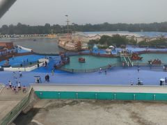 -秦皇岛乐岛海洋王国