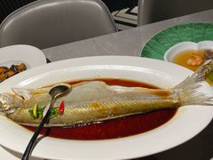 清蒸白水鱼-醉庐·新上海菜(南京西路店)