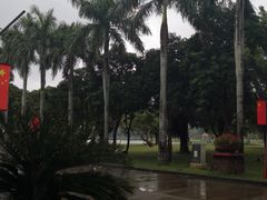 -万绿园