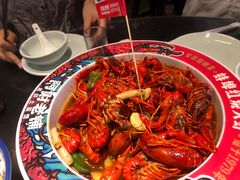 -阿财老铺·老蚌埠龙虾城(华夏总店)