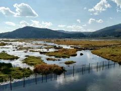 -腾冲北海湿地