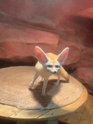 -Zoolung Zoolung动物主题公园(海信广场店)