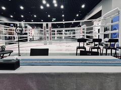 -臻元搏击格斗泰拳拳馆(港隆店)