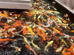 -龙悦湾酒家·八阵鱼生·渔人码头店