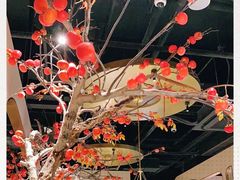 -佬肥猫(国华广场店)