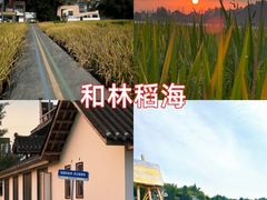 -老鼎万春卤菜(五代传承创始老店)