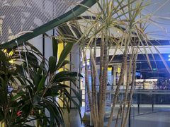 -烹然四季椰子鸡火锅(姚家园万象汇店)