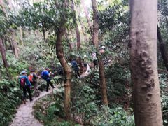 -青龙山国家森林公园