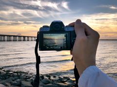 -宝安西湾红树林湿地公园