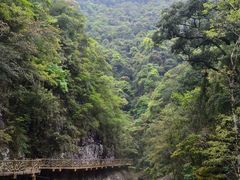 -永泰中国云顶