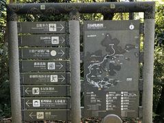 -广州市流溪河国家森林公园
