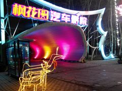 -枫花园汽车电影院(朝阳公园店)