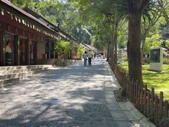 -野象谷景区
