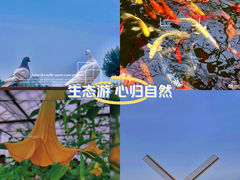 -南通洲际绿博园