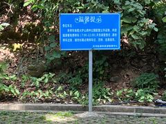 -火炉山森林公园