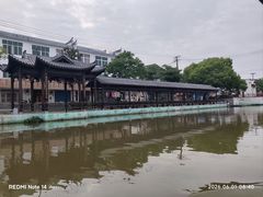 -陶辛水韵