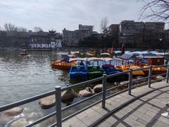 -莲湖公园