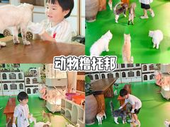 -上海佘山世茂艾美酒店