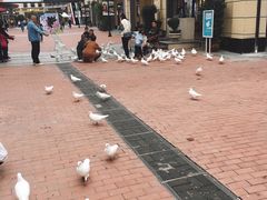 -王府井奥莱临潼小镇(临潼店)