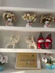 -苗方清颜专业祛痘