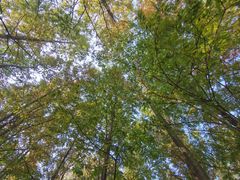 -白鹭湾湿地公园