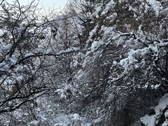 -华山风景名胜区